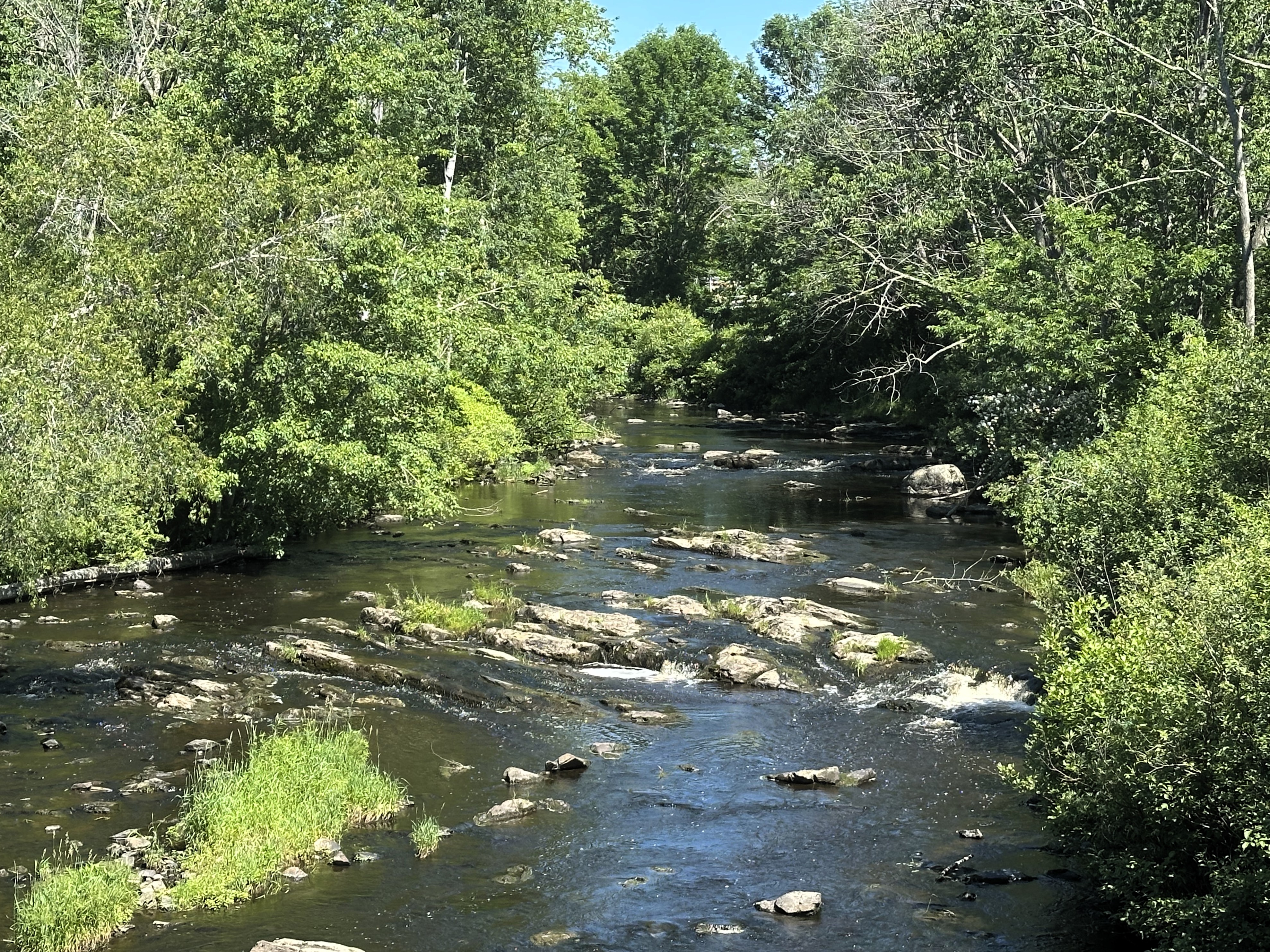 Latest Study Confirms Kennebunk River Water Quality Challenge