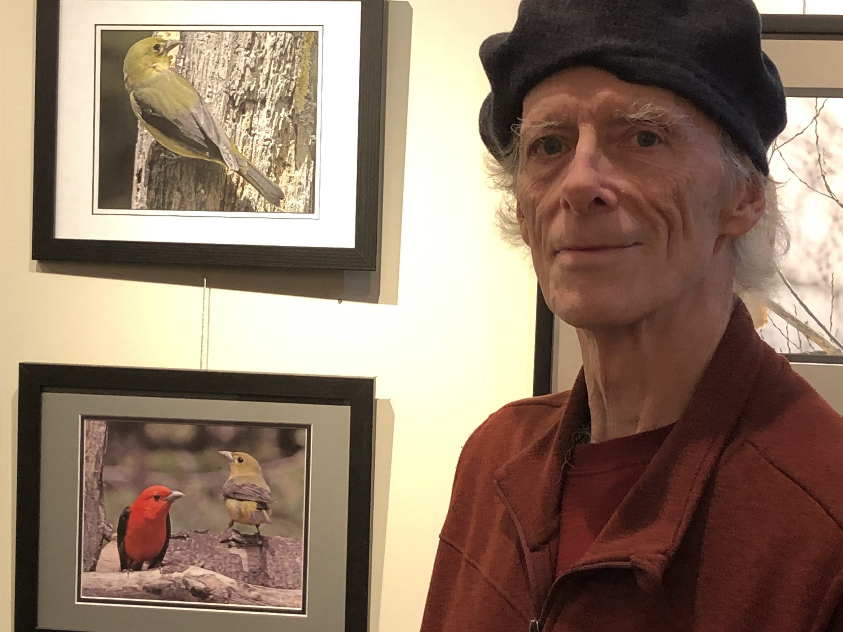 A Passion for Photography takes Flight in Arundel