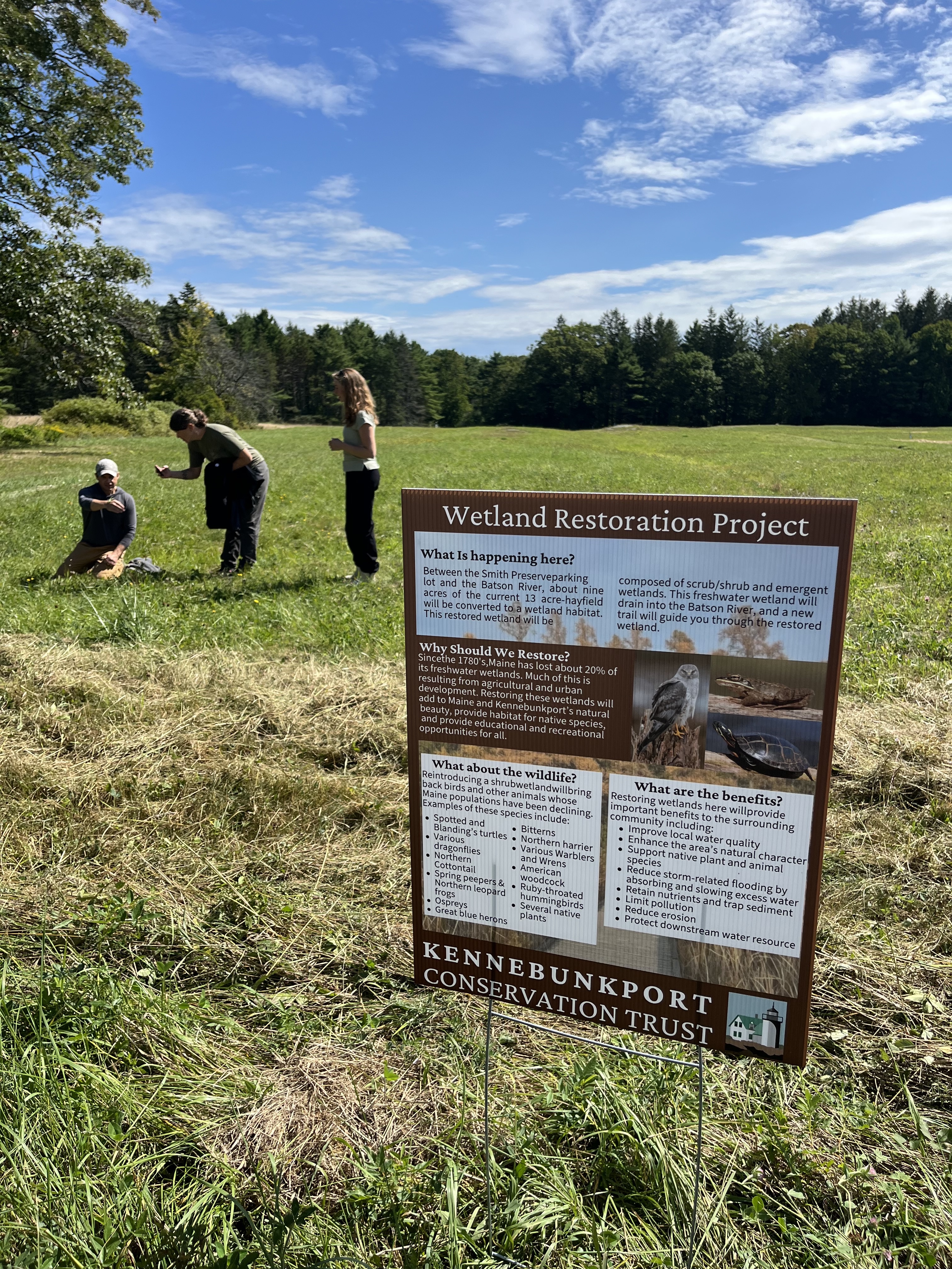 Volunteers needed to plant native trees and shrubs at Smith Preserve